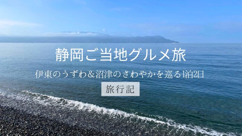 静岡ご当地グルメ旅のアイキャッチ画像(伊東のうずわ丼と沼津のさわやかハンバーグ)