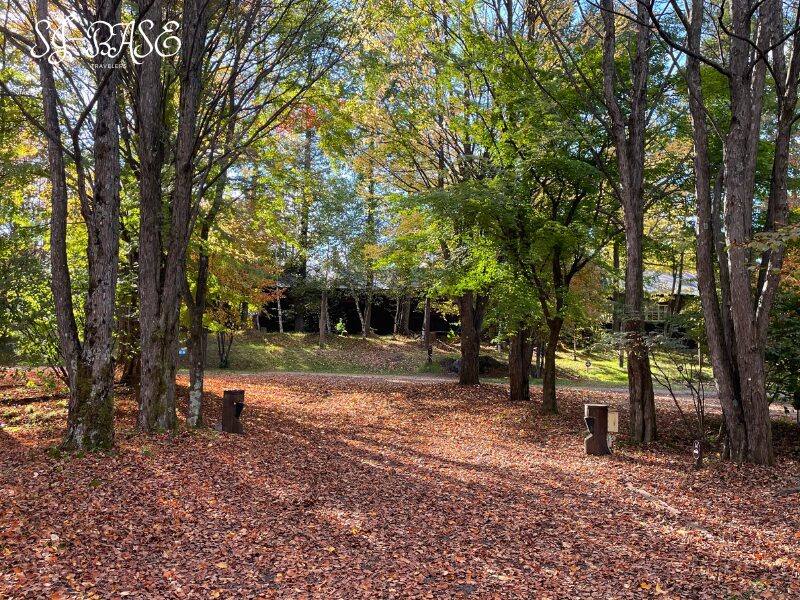 スウィートグラス木立パークサイトの区画周辺。落ち葉が敷き詰められ、秋らしい静けさに包まれている