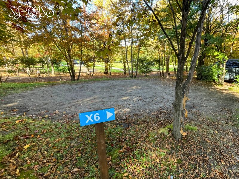 スウィートグラス木立パークサイトX6の全体風景。落ち葉に包まれた静かな区画サイト。