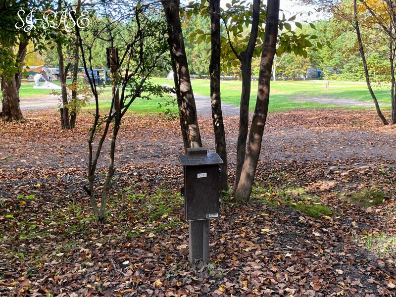 木立パークサイトX6に設置された電源ボックス。秋の落ち葉に囲まれたキャンプサイトの一角。