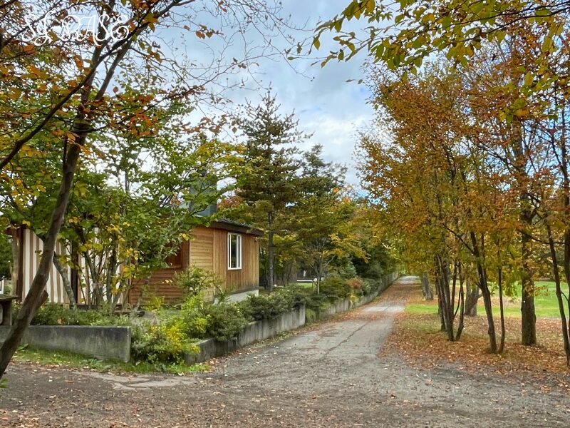 秋の木立に囲まれたスウィートグラス・ヨッホーコテージ周辺の小径