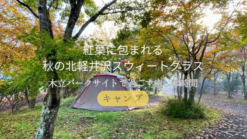 紅葉に包まれたスウィートグラス木立パークサイトの秋キャンプ風景。朝の光に包まれるテント。