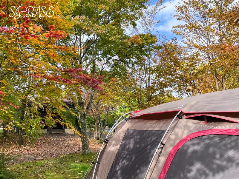 秋のスウィートグラス、紅葉に包まれた木立パークサイトのテント