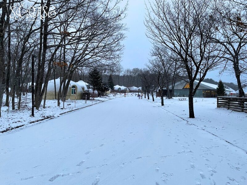 初日の出を見に湖畔を歩く冬の朝の風景