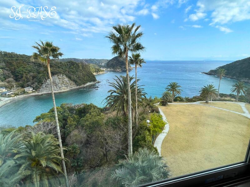 下田東急ホテル 海側スーペリアツインの窓枠越しに見えるオーシャンビュー(海とヤシの木)